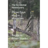 Three Days atop a Mountain: The Accidental Adventurers