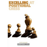 Excelling at Positional Chess