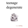 Teenage Degenerate: A Memoir that Explores the Depths of Methamphetamine and Drug Addiction