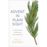Advent in Plain Sight: A Devotion Through Ten Objects
