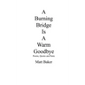 A Burning Bridge Is A Warm Goodbye: Poems, Quotes and Panic