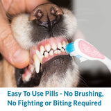 Dog Bad Breath & Dental Care Solution - Natural Remedy for Canine Oral Health by BestLife4Pets