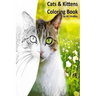 Cats & Kittens: Coloring Book