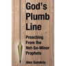 God's Plumb Line: Preaching From the Not-So-Minor Prophets