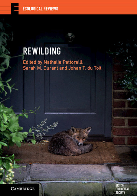 Rewilding - Paperback by Books by splitShops