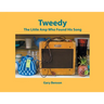 Tweedy: The Little Amp Who Found His Song