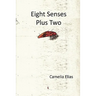 Eight Senses Plus Two
