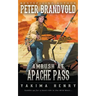 Ambush at Apache Pass: A Western Fiction Classic