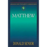 Abingdon New Testament Commentaries: Matthew