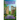 Through The Garden Gate