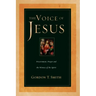 The Voice of Jesus: Discernment, Prayer and the Witness of the Spirit