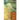 Letters of Old Age (Rerum Senilium Libri) Volume 2, Books X-XVIII