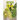 MTHFR Diet: A Beginner's 2-Week Step-by-Step Guide to Managing MTHFR With Food, Includes Sample Recipes and a Meal Plan