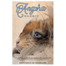 Angora Rabbit: The ultimate guide to caring for, grooming, and enjoying your fluffy fiber friend