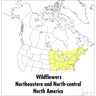 A Peterson Field Guide to Wildflowers: Northeastern and North-Central North America