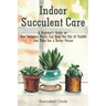 Indoor Succulent Care: A Beginner's Guide on How Succulent Plants Can Keep You Out of Trouble and Make You a Better Person