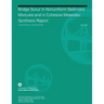 Bridge Scour in Nonuniform Sediment Mixtures and in Cohesive Materials: Synthesis Report