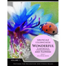 Wonderful Ladybugs and Flowers Book 1: Grayscale coloring books for adults Relaxation (Adult Coloring Books Series, grayscale fantasy coloring books)