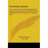 Guardian Spirits: A Case Of Vision Into The Spiritual World, Translated From The German Of H. Werner, With Parallels From Emanuel Swedenborg (1847)