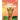 Giraffe Coloring Book: Gorgeous Coloring Book for Adults and Kids (Girls And Boys )
