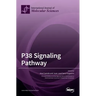 P38 Signaling Pathway