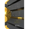 Computational Intelligence Paradigms: Theory & Applications Using MATLAB