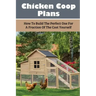 Chicken Coop Plans: How To Build The Perfect One For A Fraction Of The Cost Yourself: How To Determine Your Chicken Flock Size And Space Needs