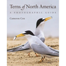 Terns of North America: A Photographic Guide