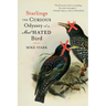 Starlings: The Curious Odyssey of a Most Hated Bird