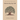 Moreton Bay Fig's Gift