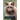 Among Animals: The Lives of Animals and Humans in Contemporary Short Fiction