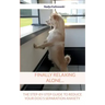Finally relaxing alone...: The step-by-step guide to reduce your Dog's separation anxiety
