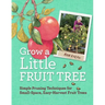 Grow a Little Fruit Tree: Simple Pruning Techniques for Small-Space, Easy-Harvest Fruit Trees