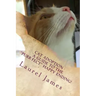 Cat Adoption - Your Guide to the "Purr-Fect" Happy Ending!