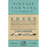 Sheep and Their Various Breeds - Containing Information on the Lincolnshire, the Saxon Merino, the Southdown and Many Other Varieties of Sheep
