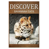 Savannah Cats - Discover: Early reader's wildlife photography book