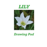 Lily Drawing Pad