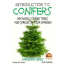 Introduction to Conifers - Growing Conifer Trees and Shrubs in Your Garden