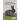 The Genetics and Genomics of the Rabbit