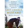 Last Chance Mustang