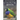 Picture Book of Colorful Birds: For Seniors with Dementia (Large Text) [Best Gifts for People with Dementia]
