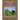 Tobacco Plant Varieties for Home Growers