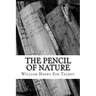 The Pencil of Nature