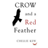 Crow and a Red Feather