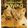 Baby Animals Playing