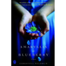 Amaryllis in Blueberry