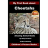 My First Book about Cheetahs - Amazing Animal Books - Children's Picture Books