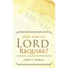 What Does the Lord Require?: Doing Justice, Loving Kindness, and Walking Humbly