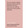 Lesbian Feminism: Essays Opposing Global Heteropatriarchies