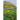 Jofrid Gunn